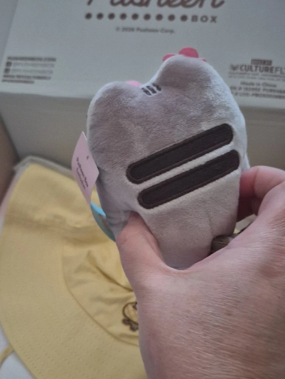 Pusheen 2026 summer